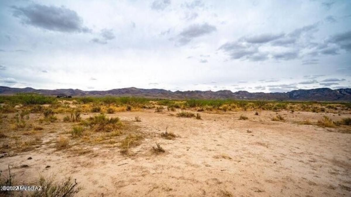 Picture of Residential Land For Sale in Portal, Arizona, United States