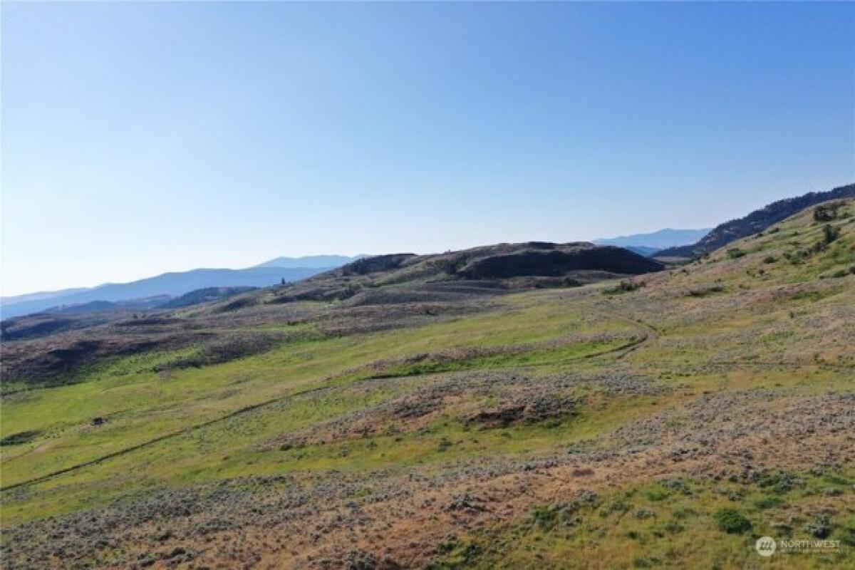 Picture of Residential Land For Sale in Oroville, Washington, United States