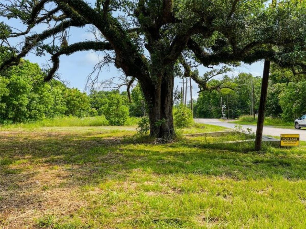 Picture of Residential Land For Sale in Devers, Texas, United States