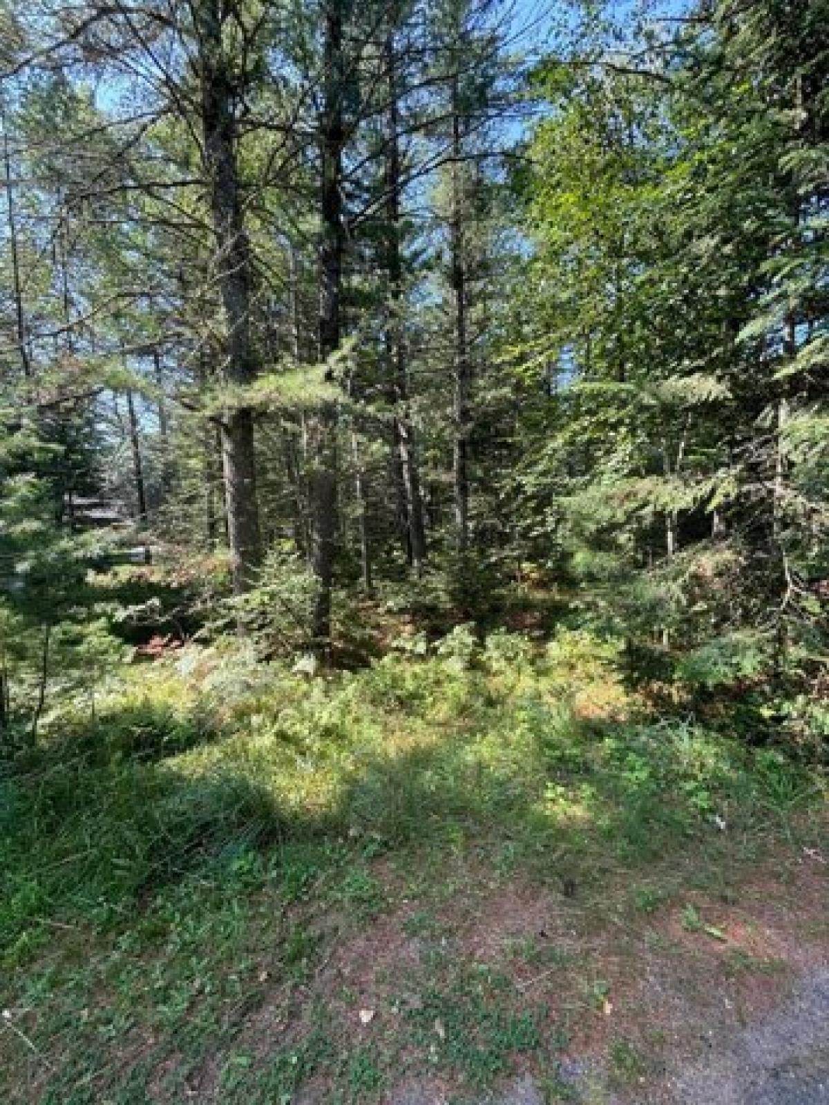 Picture of Residential Land For Sale in Minocqua, Wisconsin, United States