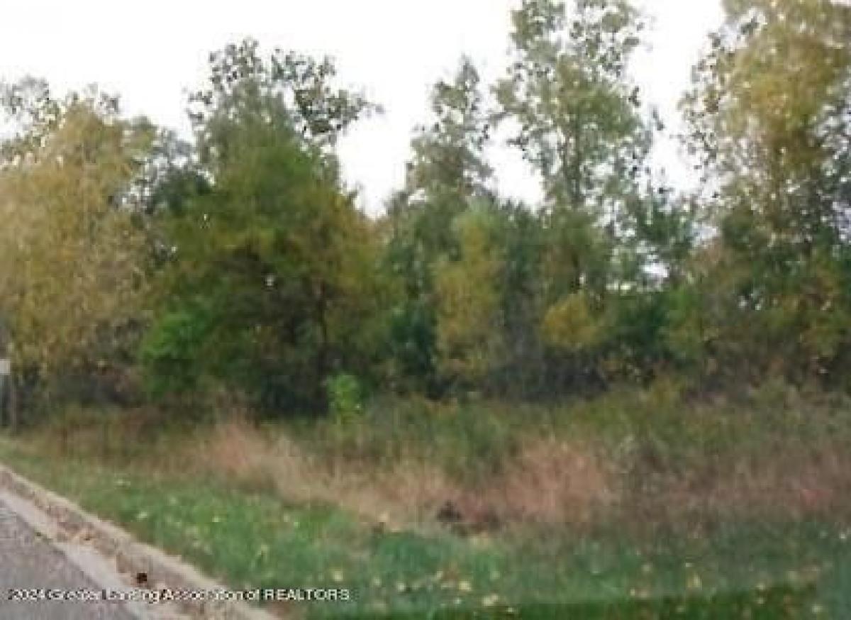 Picture of Residential Land For Sale in Owosso, Michigan, United States