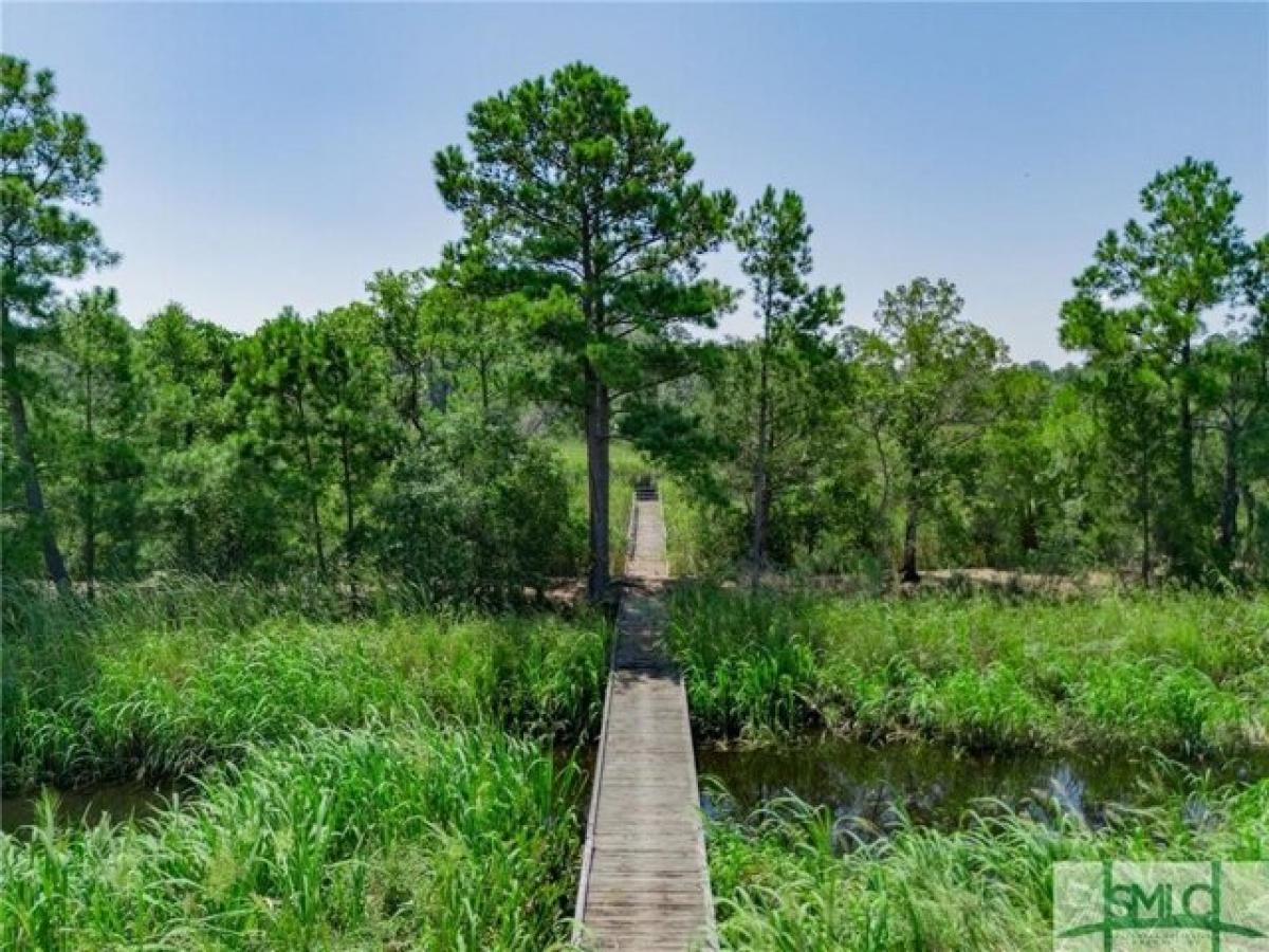 Picture of Residential Land For Sale in Richmond Hill, Georgia, United States