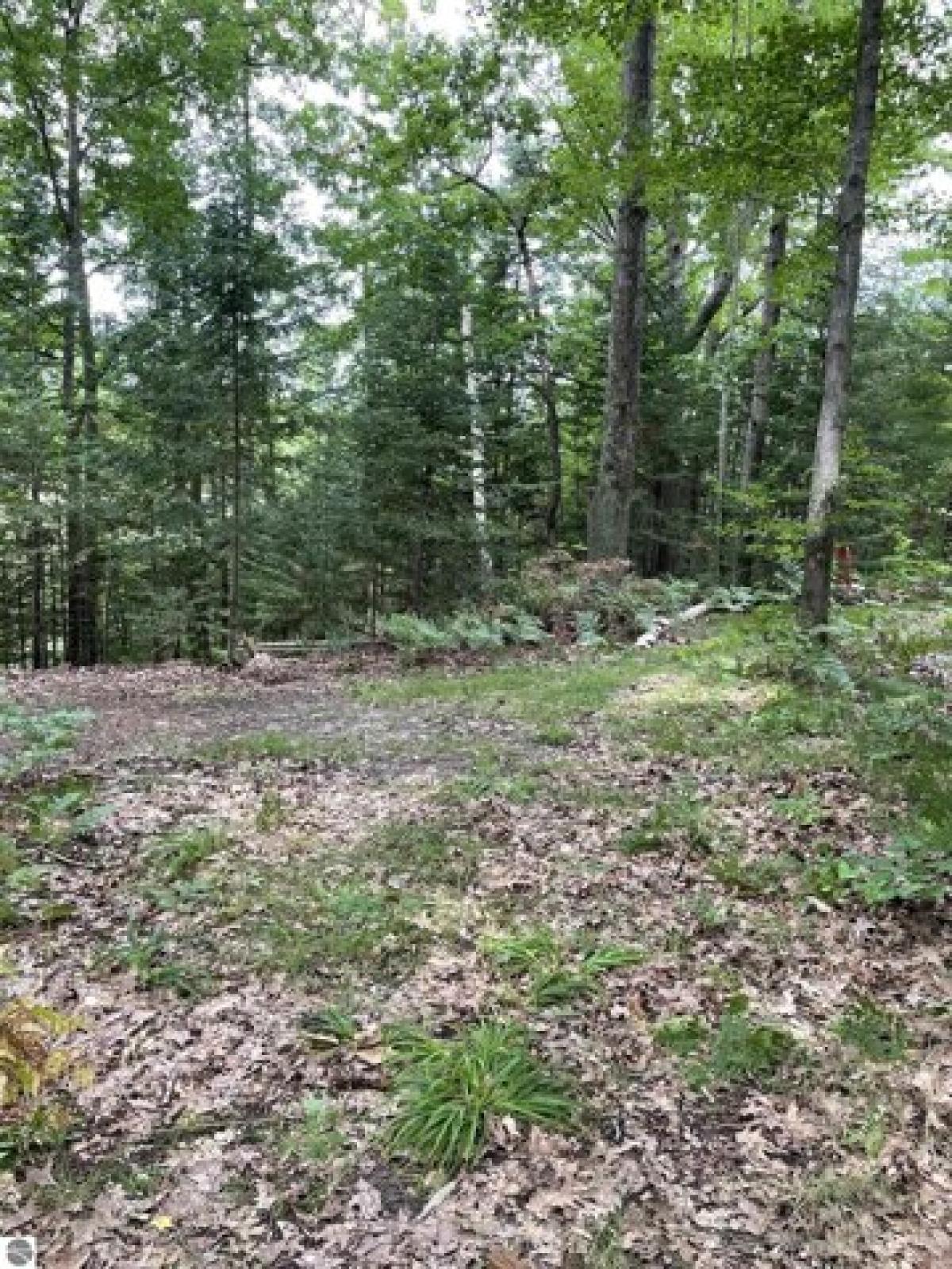 Picture of Residential Land For Sale in Hale, Michigan, United States