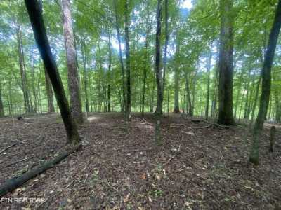 Residential Land For Sale in Jacksboro, Tennessee