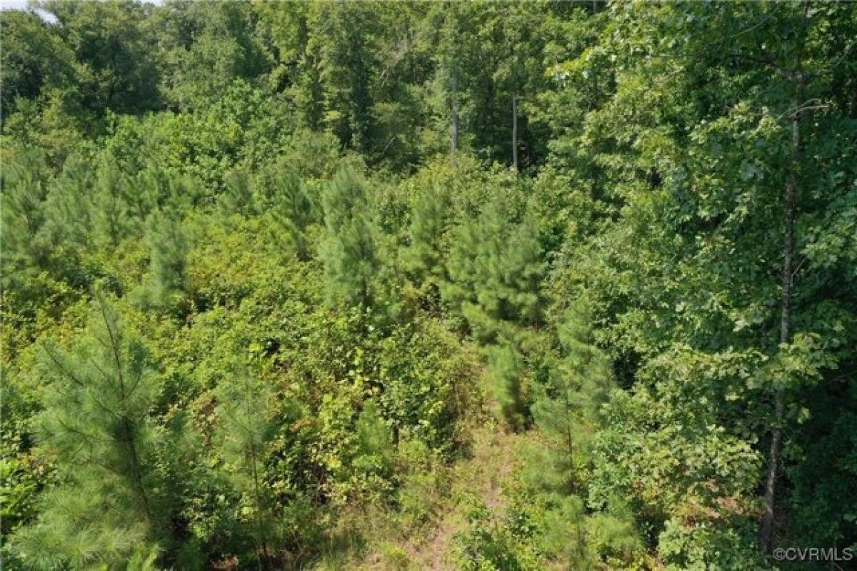 Picture of Residential Land For Sale in Blackstone, Virginia, United States