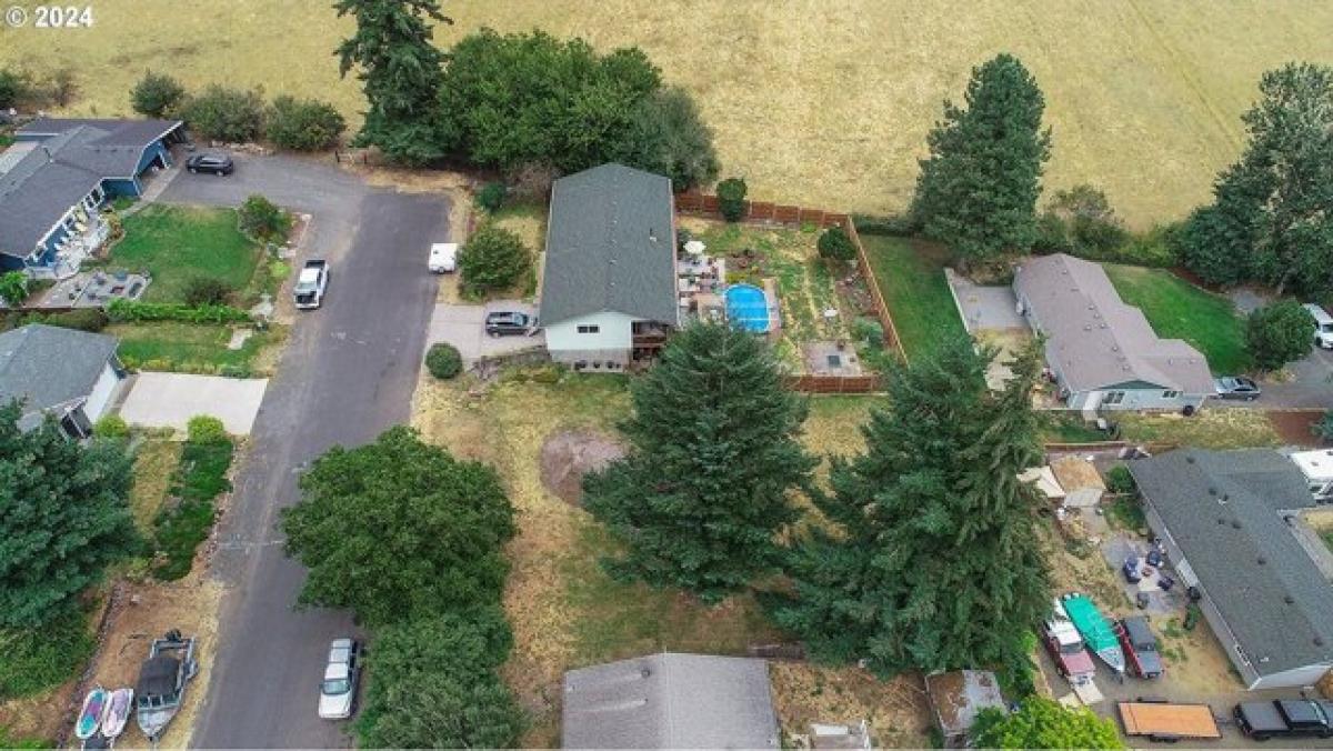 Picture of Residential Land For Sale in Carson, Washington, United States