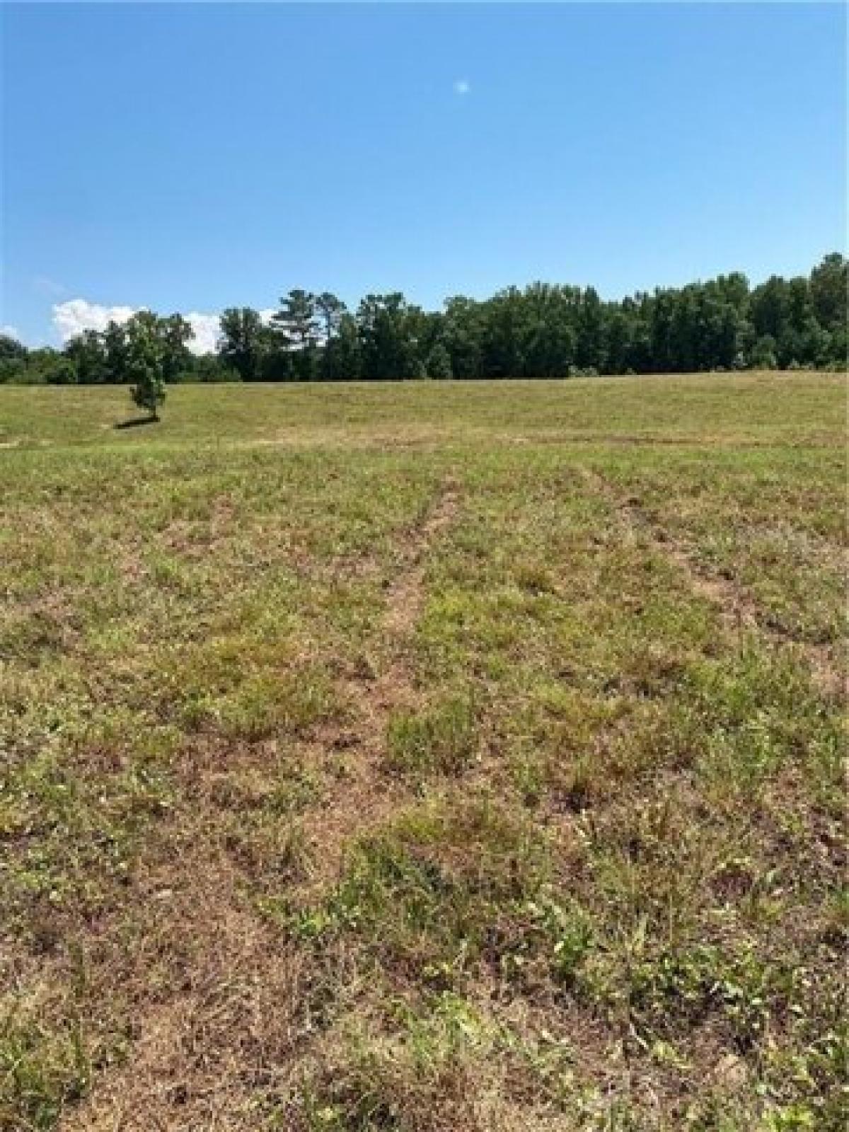 Picture of Residential Land For Sale in Talking Rock, Georgia, United States