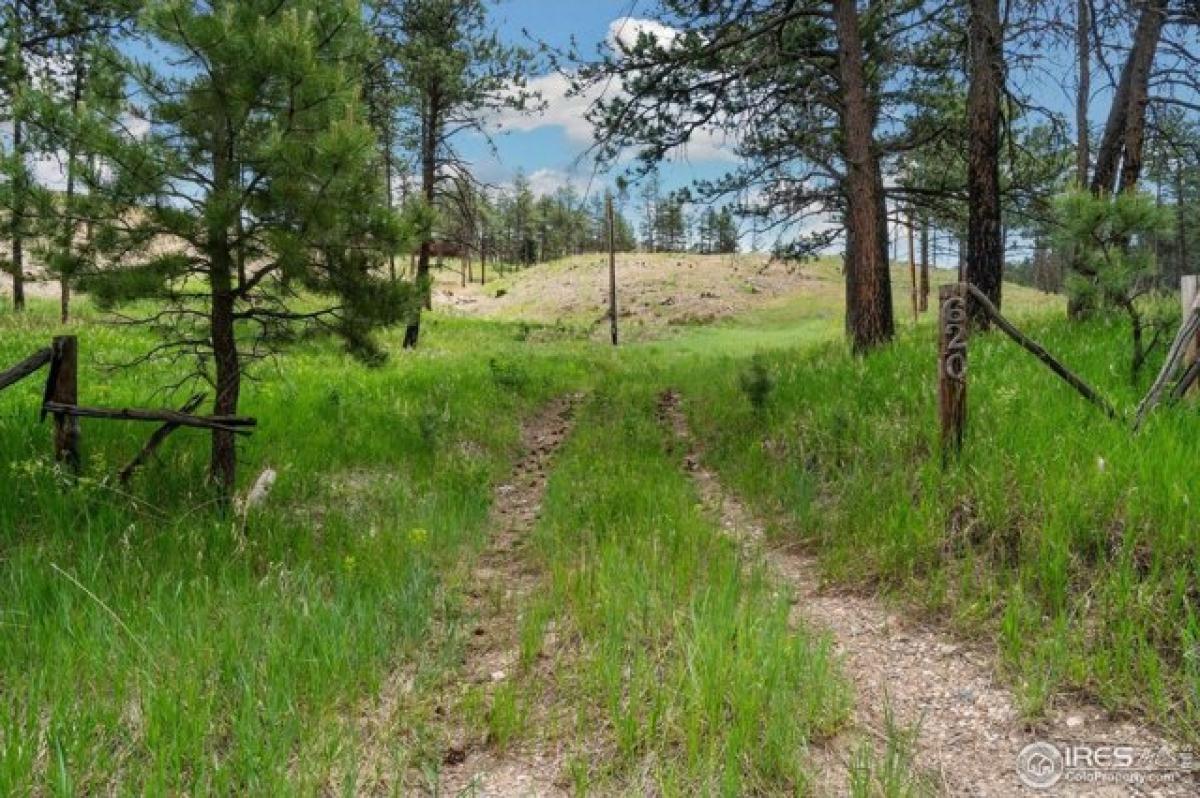 Picture of Residential Land For Sale in Bellvue, Colorado, United States