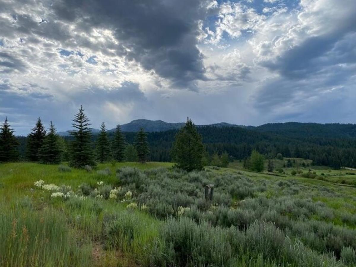 Picture of Residential Land For Sale in McCall, Idaho, United States