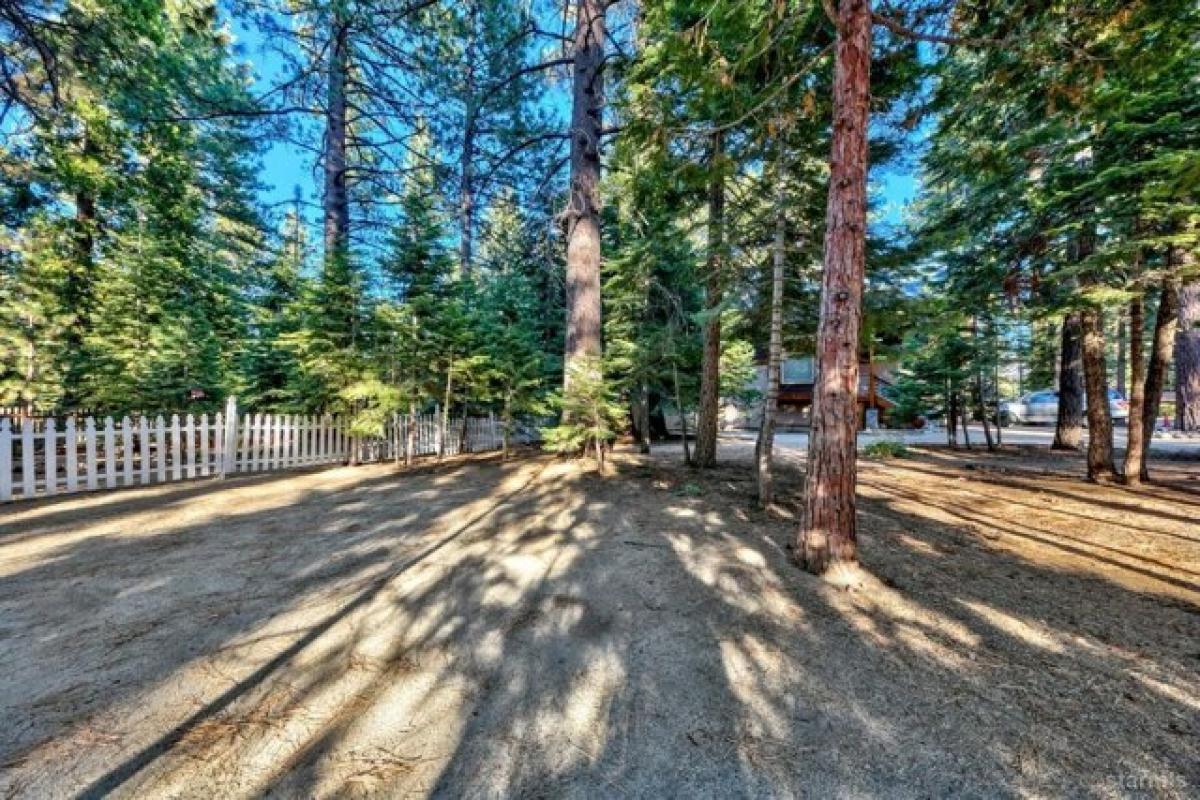 Picture of Residential Land For Sale in South Lake Tahoe, California, United States