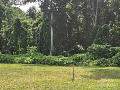 Residential Land For Sale in Asheville, North Carolina