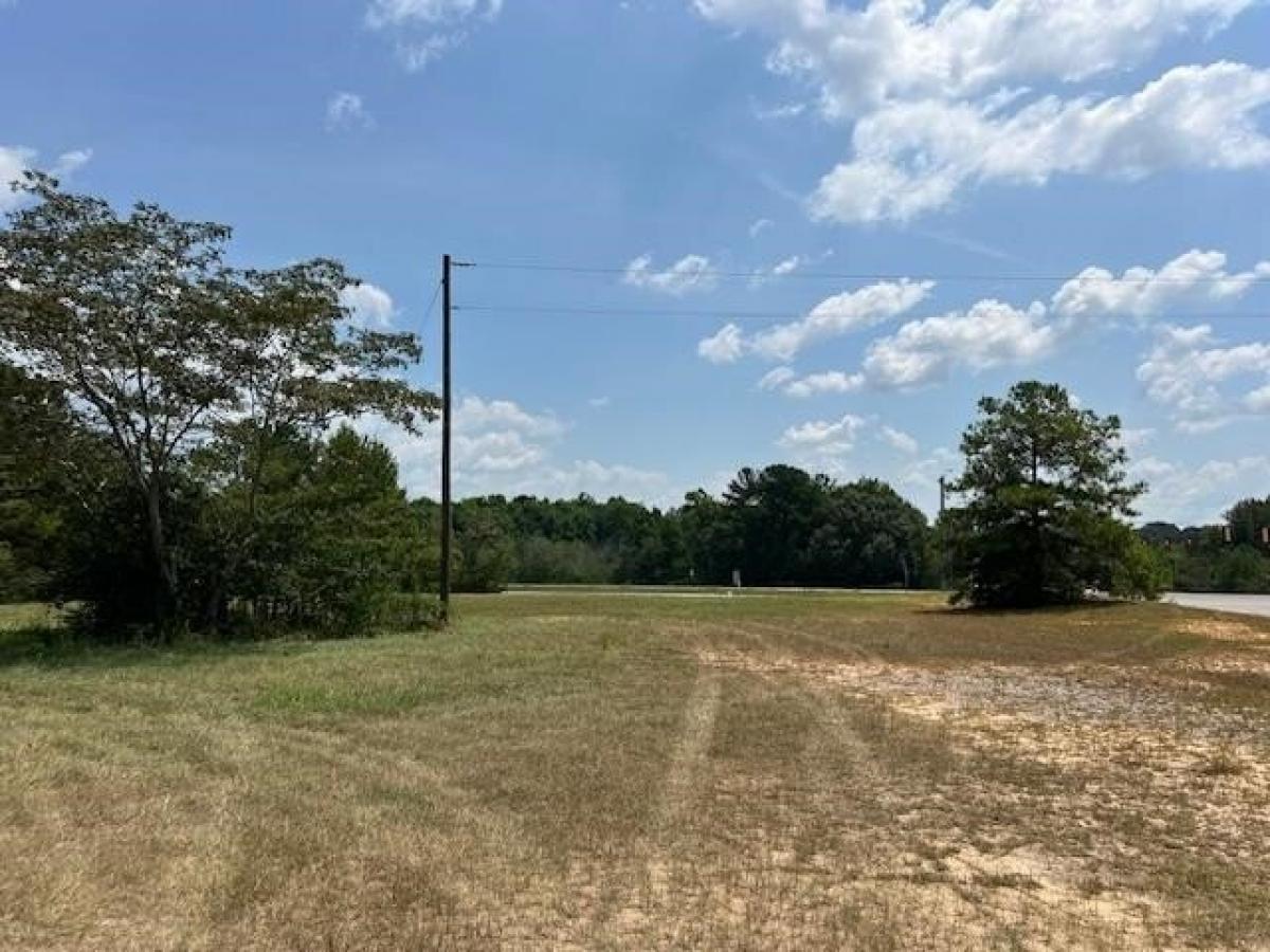 Picture of Residential Land For Sale in Opp, Alabama, United States