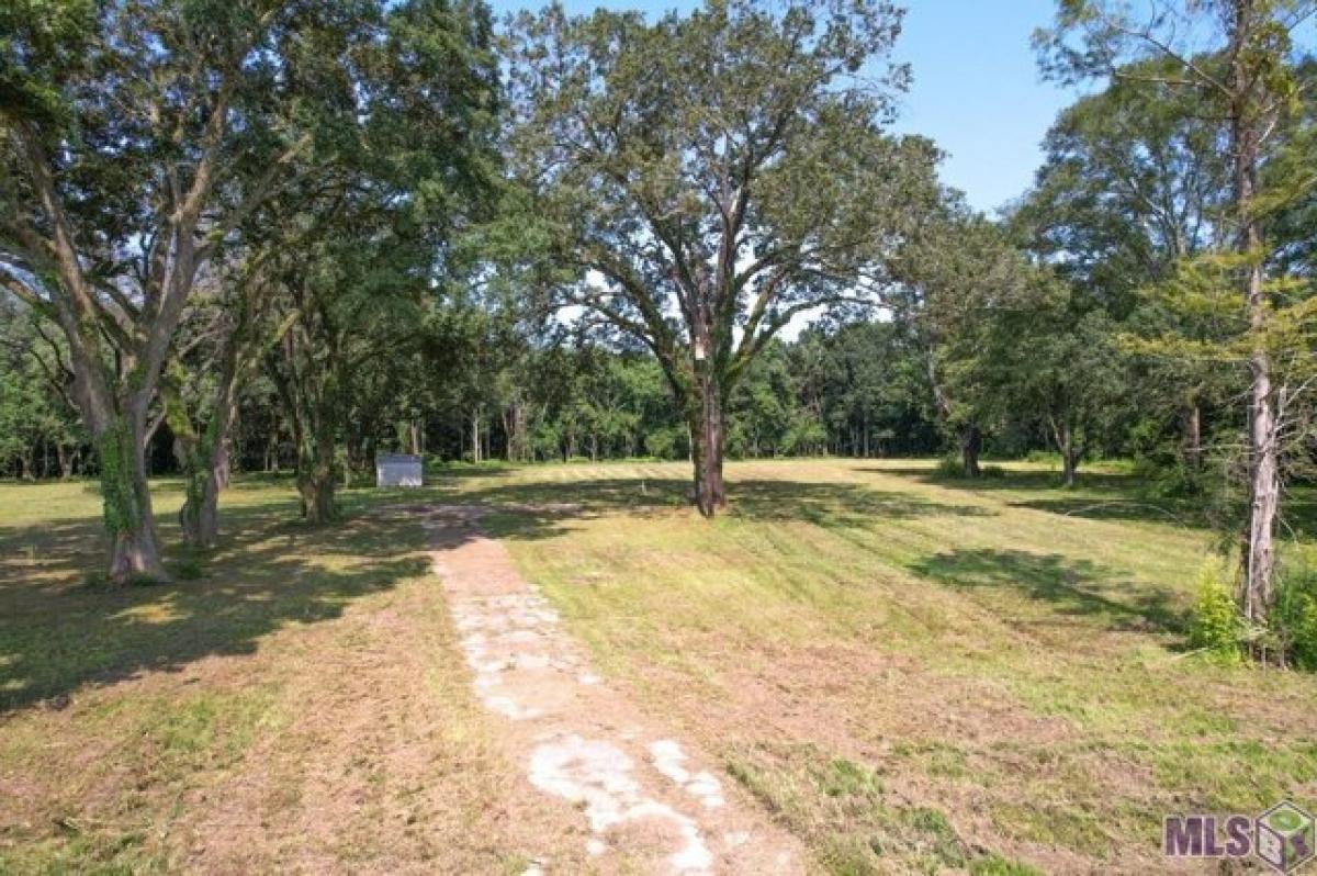 Picture of Residential Land For Sale in Zachary, Louisiana, United States