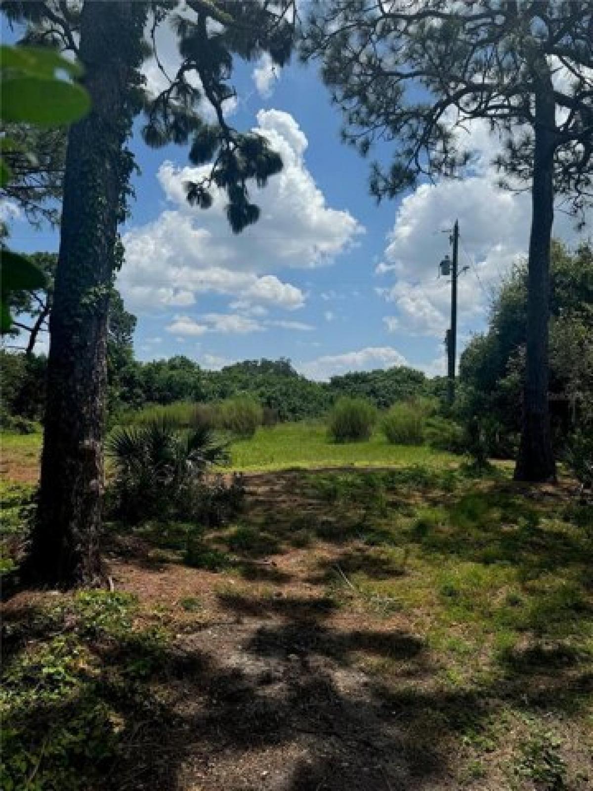 Picture of Residential Land For Sale in Seminole, Florida, United States