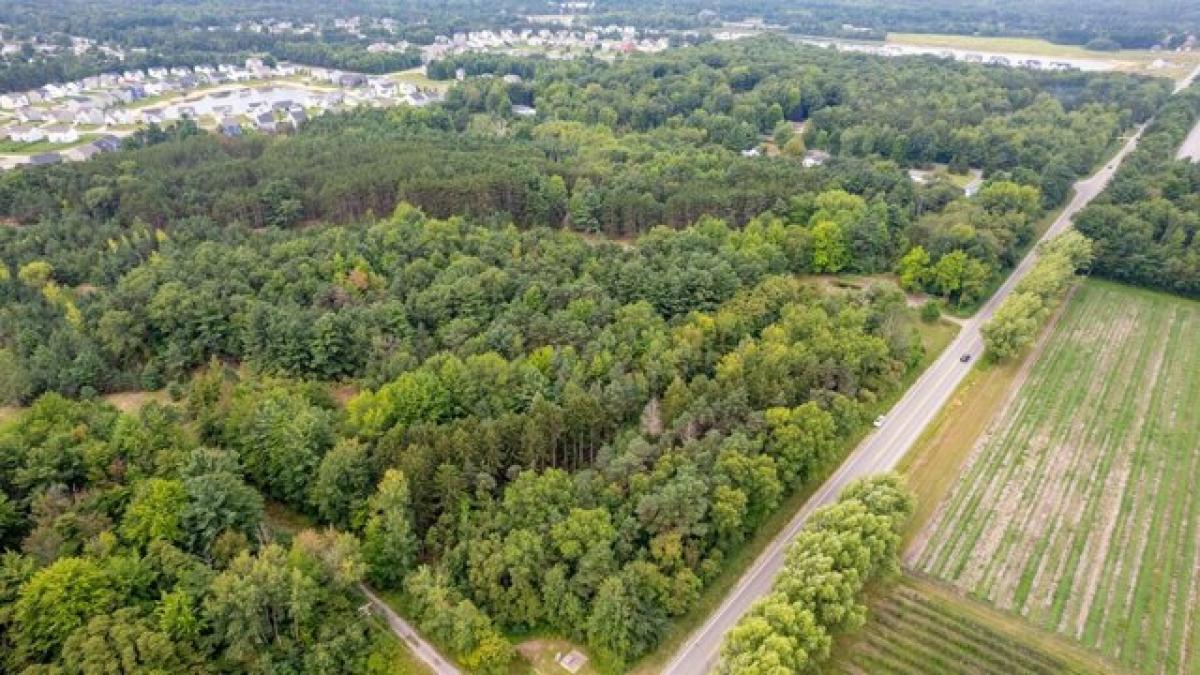 Picture of Residential Land For Sale in West Olive, Michigan, United States