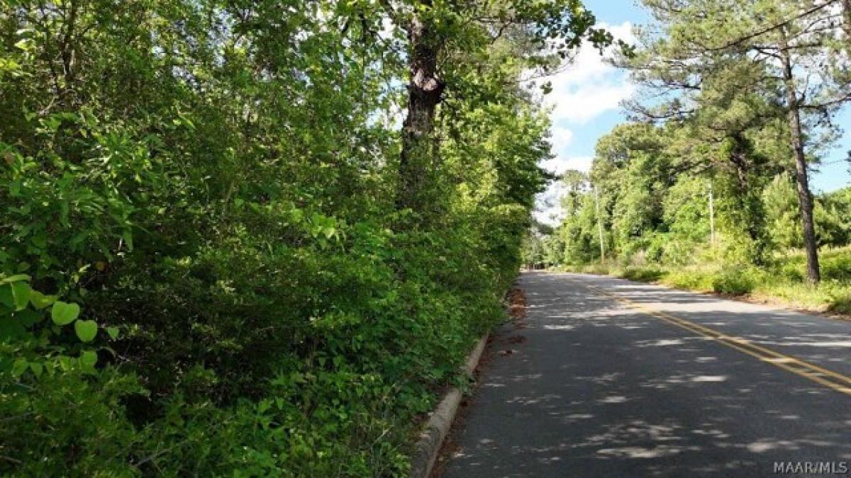 Picture of Residential Land For Sale in Tuskegee, Alabama, United States