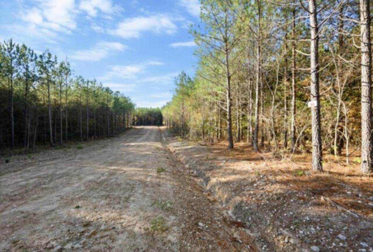 Picture of Residential Land For Sale in Broken Bow, Oklahoma, United States