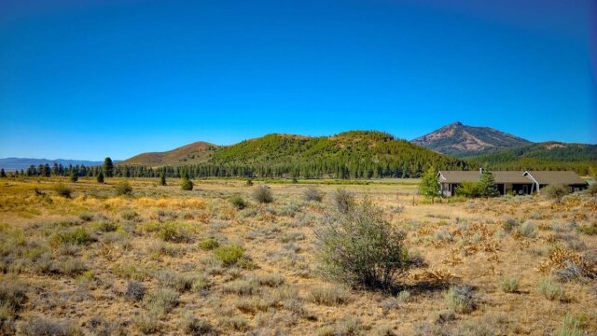 Picture of Residential Land For Sale in Beckwourth, California, United States