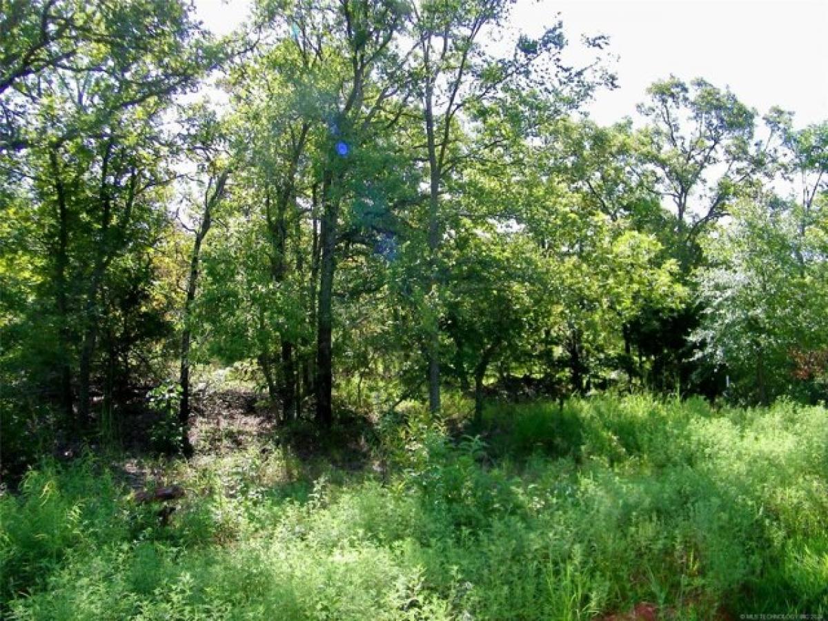 Picture of Residential Land For Sale in Bristow, Oklahoma, United States