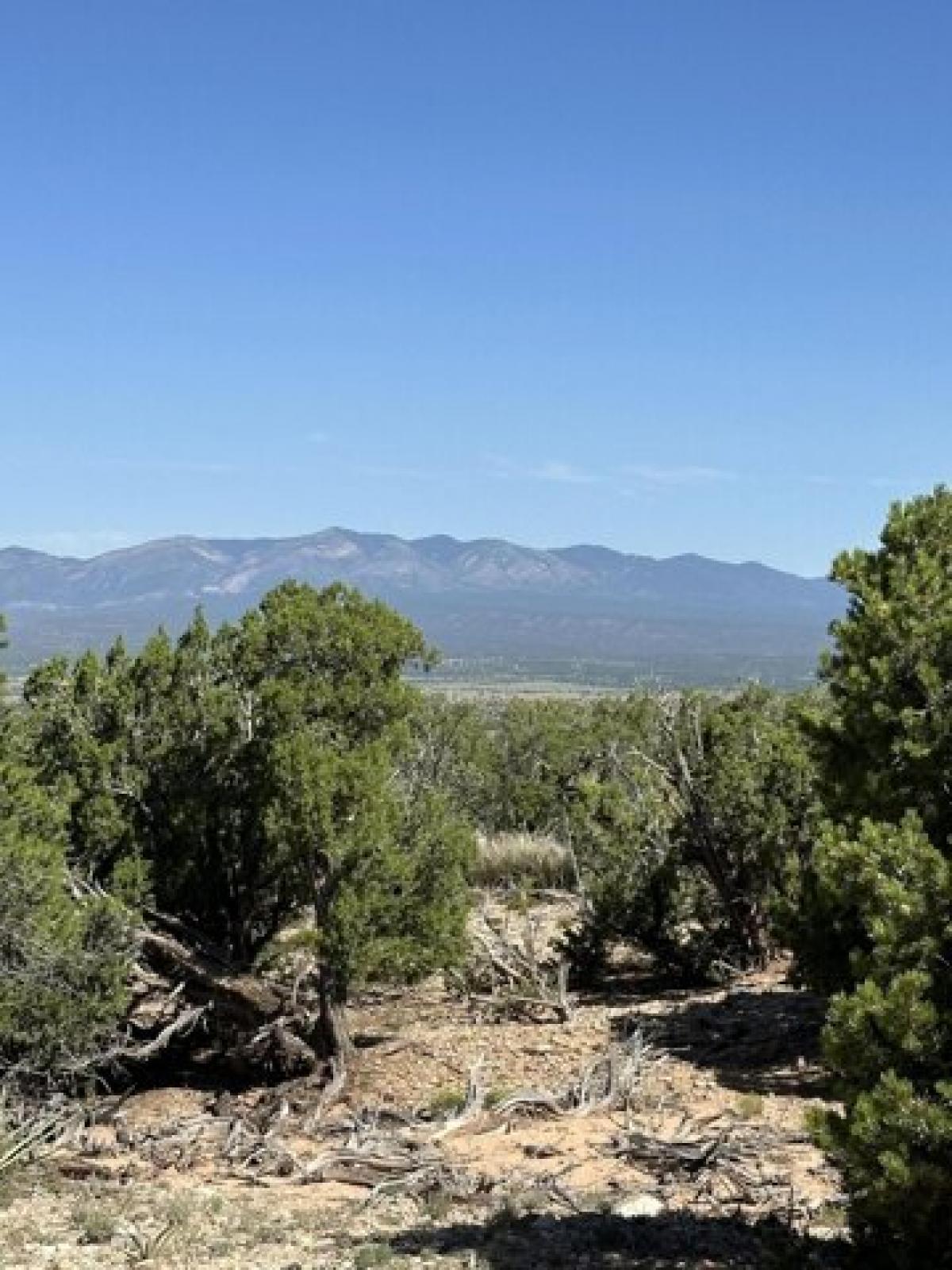 Picture of Residential Land For Sale in Mountainair, New Mexico, United States