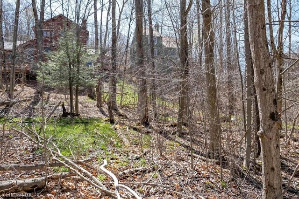 Picture of Residential Land For Sale in Davis, West Virginia, United States