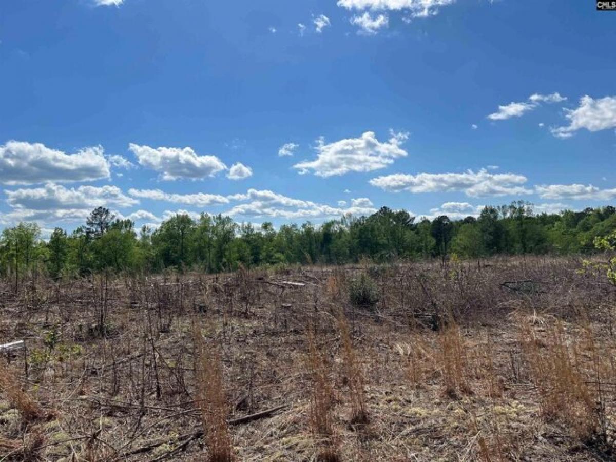 Picture of Residential Land For Sale in Leesville, South Carolina, United States