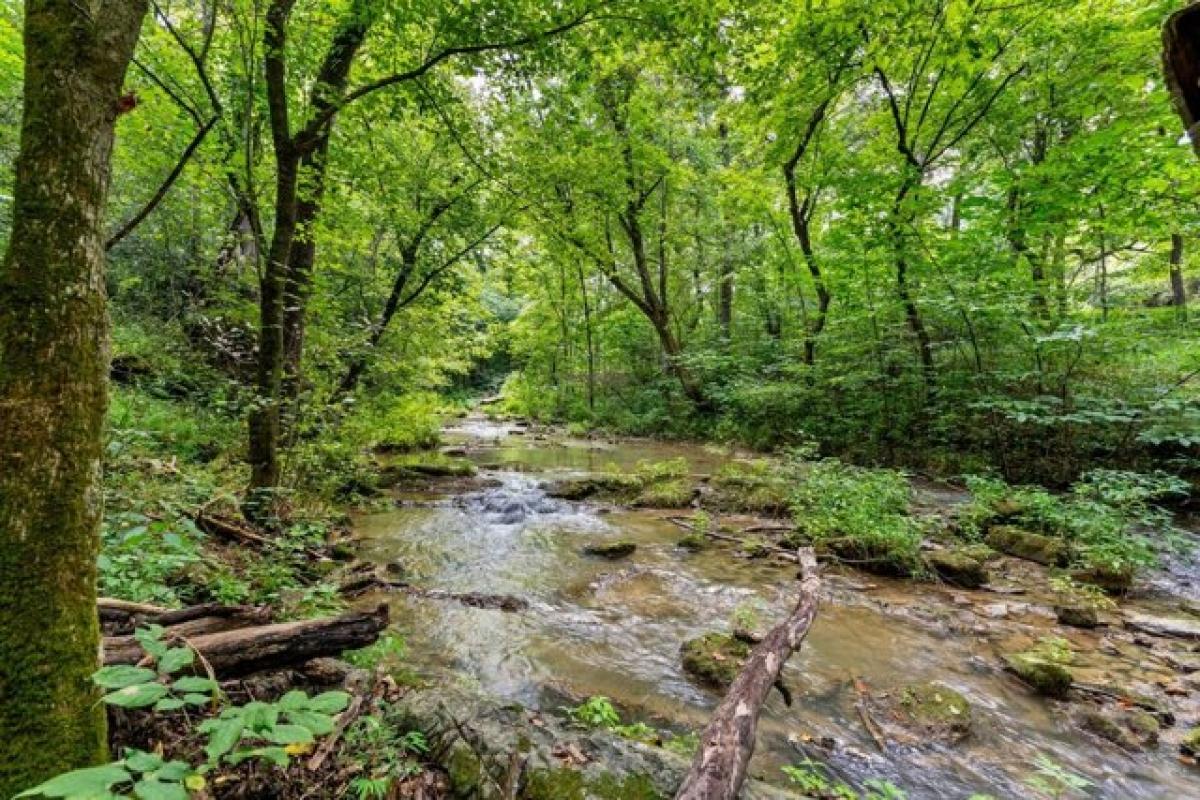 Picture of Home For Sale in Greeneville, Tennessee, United States