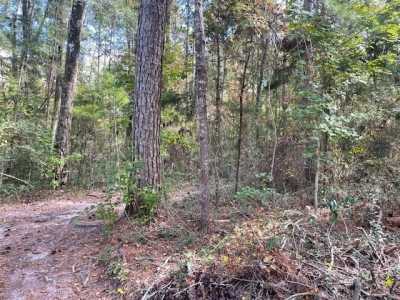 Residential Land For Sale in Crawfordville, Florida