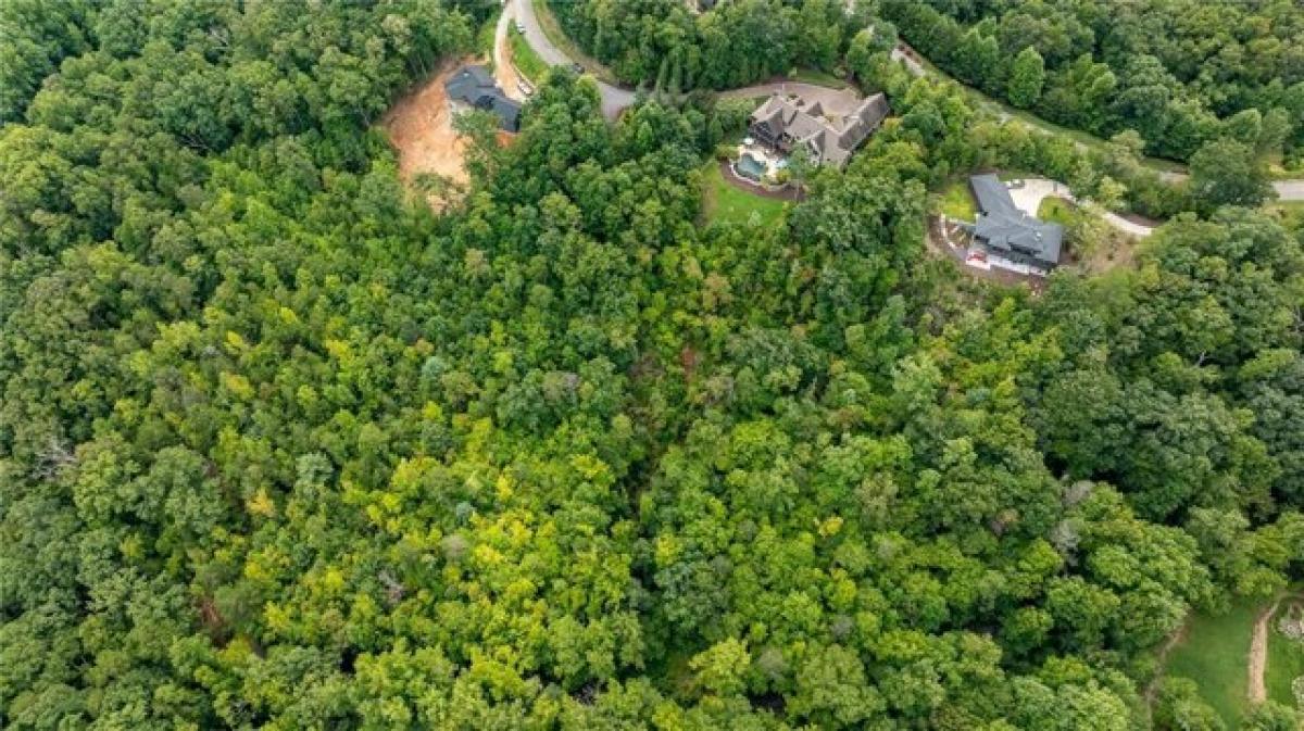 Picture of Residential Land For Sale in Marietta, South Carolina, United States