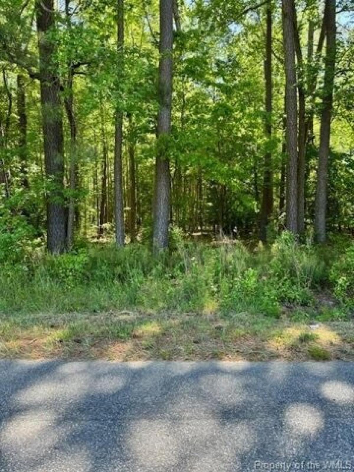 Picture of Residential Land For Sale in Williamsburg, Virginia, United States