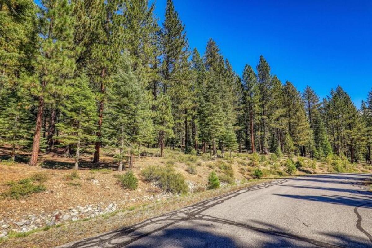 Picture of Residential Land For Sale in Truckee, California, United States