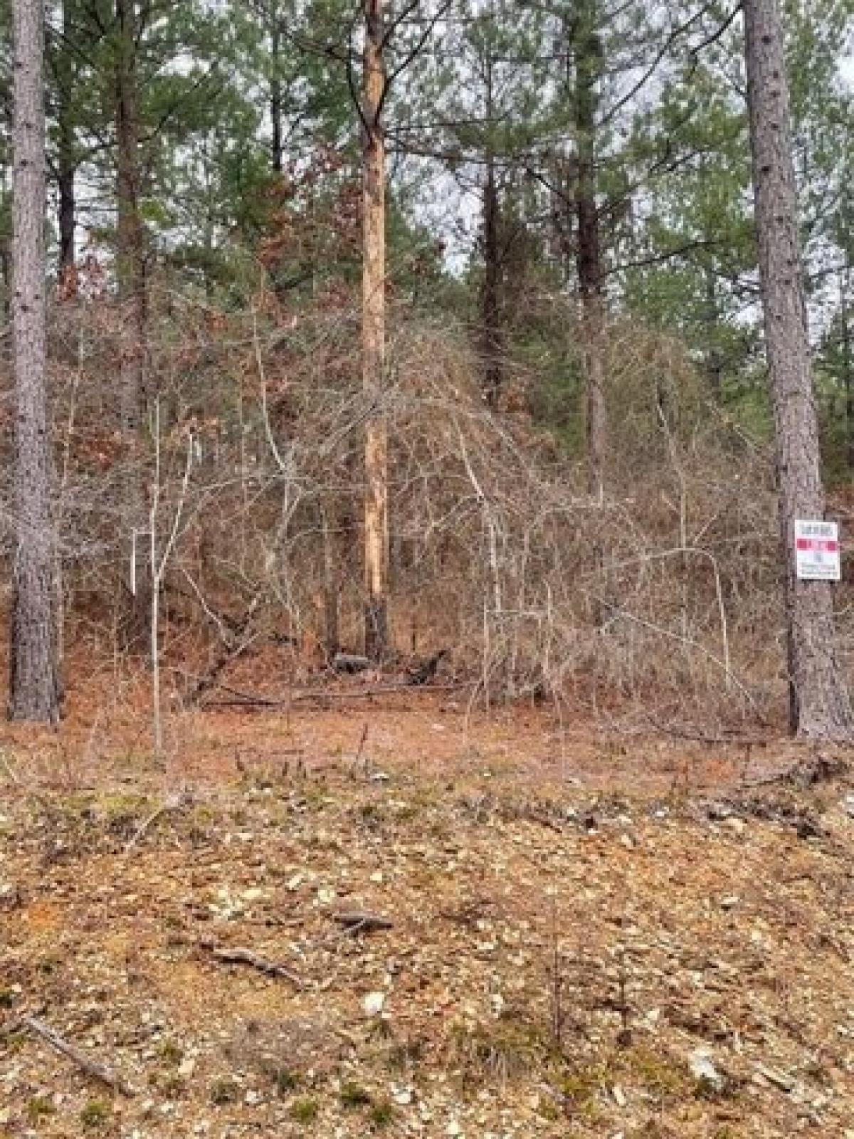 Picture of Residential Land For Sale in Broken Bow, Oklahoma, United States