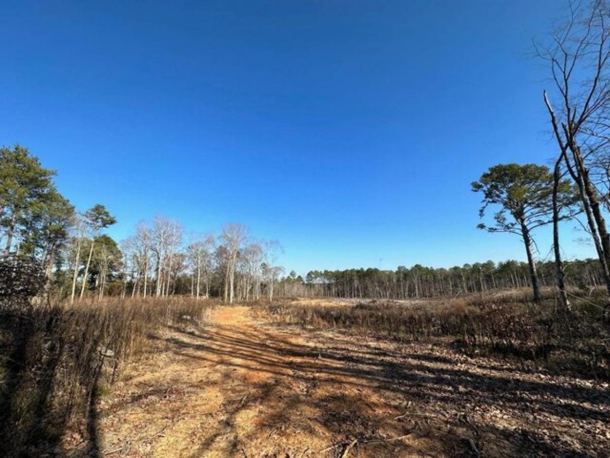 Picture of Residential Land For Sale in Carthage, Mississippi, United States