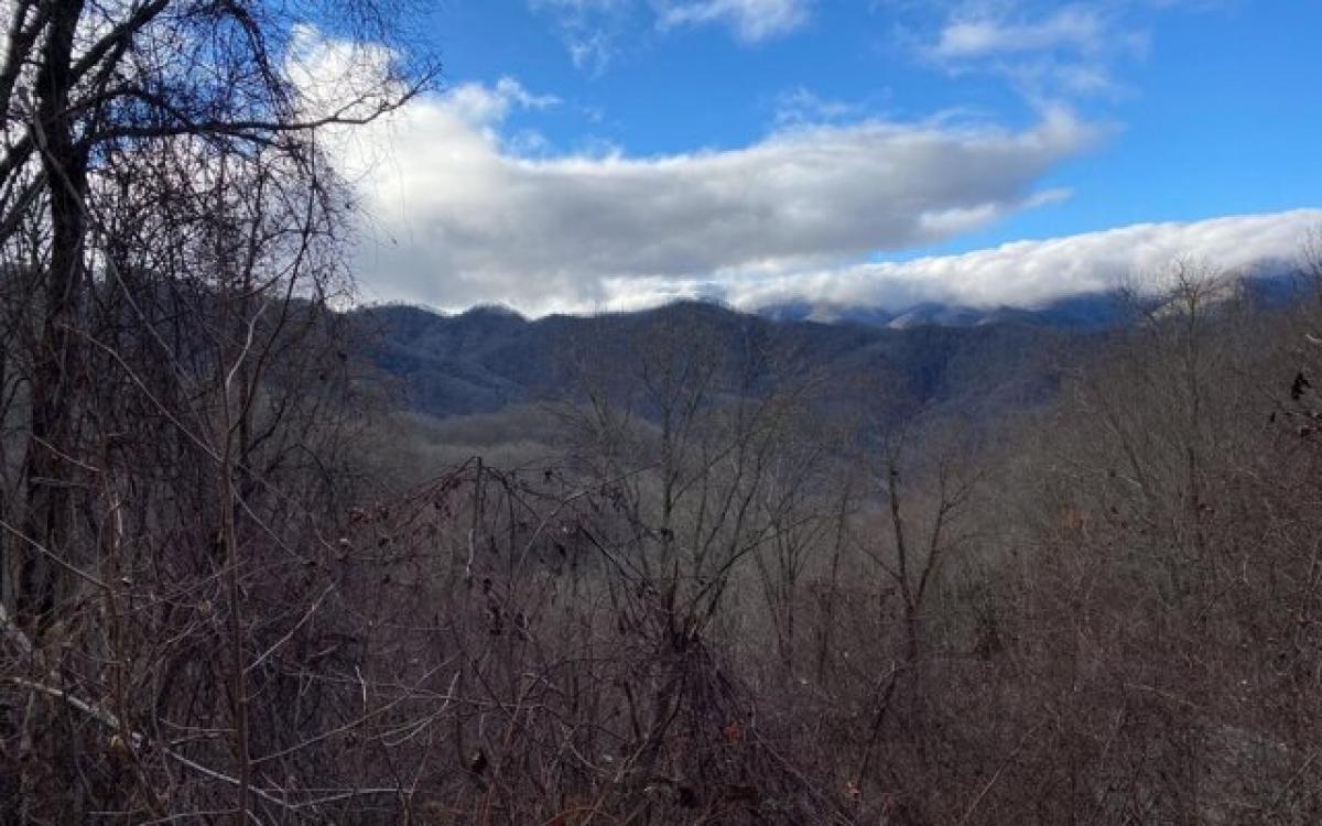 Picture of Residential Land For Sale in Bryson City, North Carolina, United States