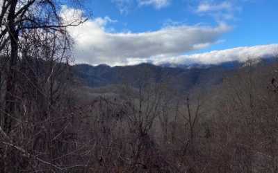 Residential Land For Sale in Bryson City, North Carolina