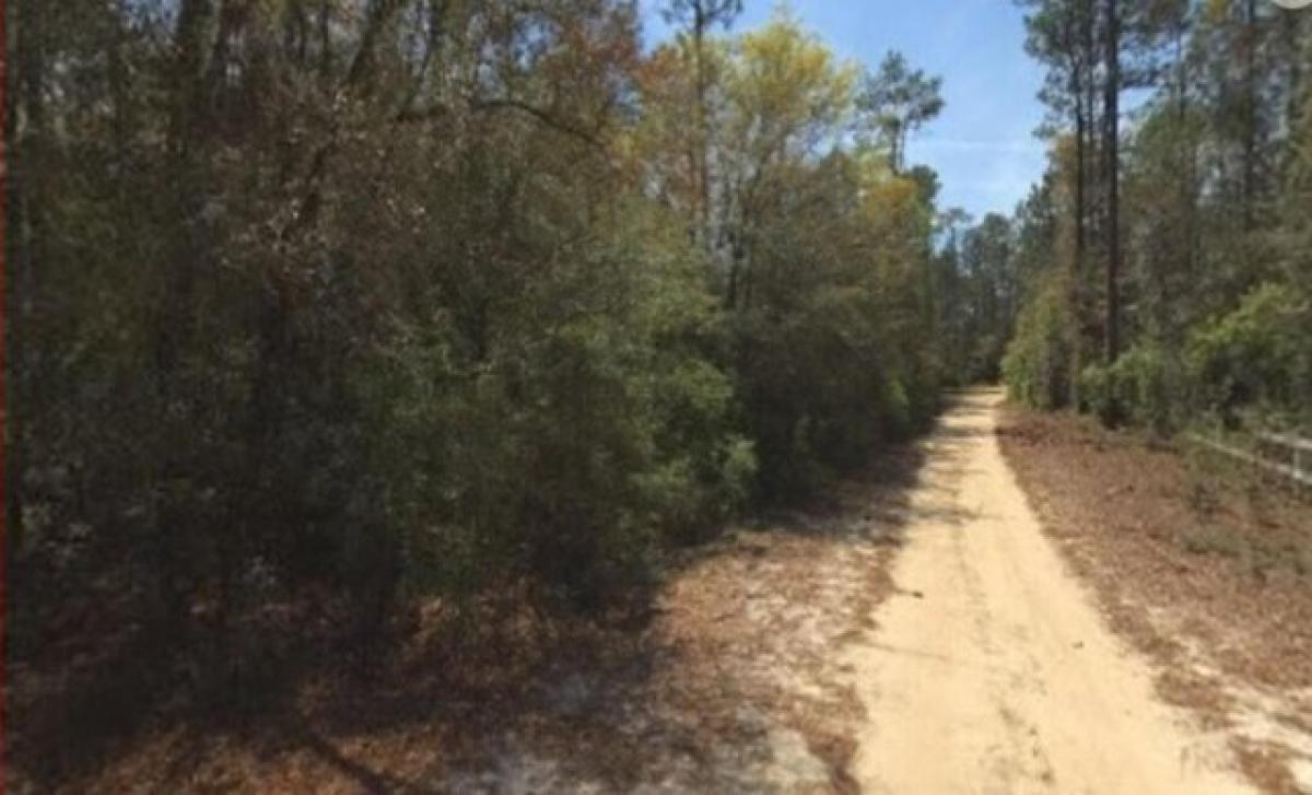 Picture of Residential Land For Sale in Holt, Florida, United States