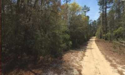 Residential Land For Sale in Holt, Florida