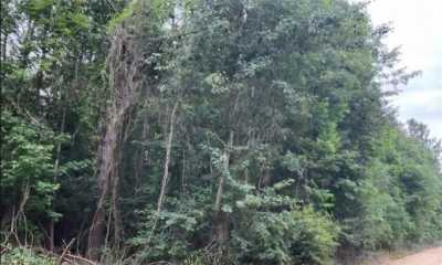 Residential Land For Sale in 