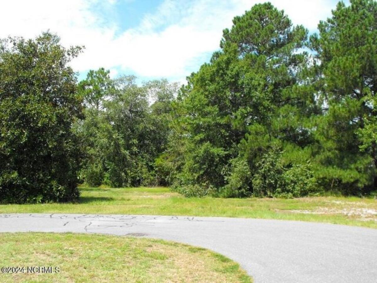 Picture of Residential Land For Sale in Harrells, North Carolina, United States