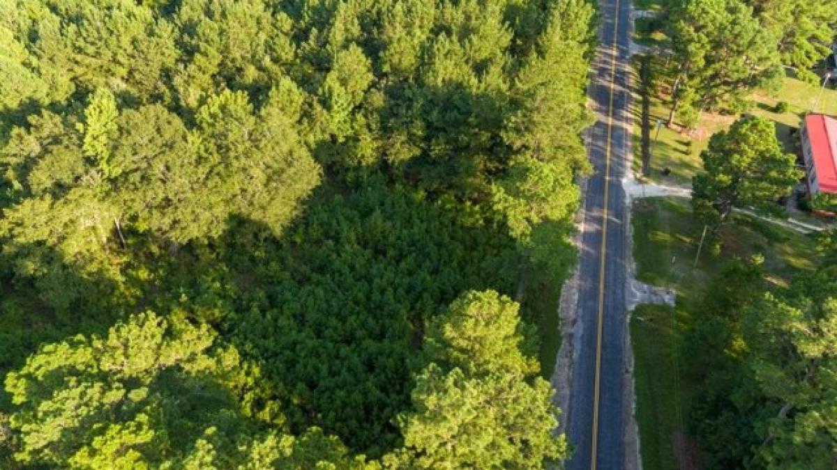 Picture of Residential Land For Sale in New Zion, South Carolina, United States