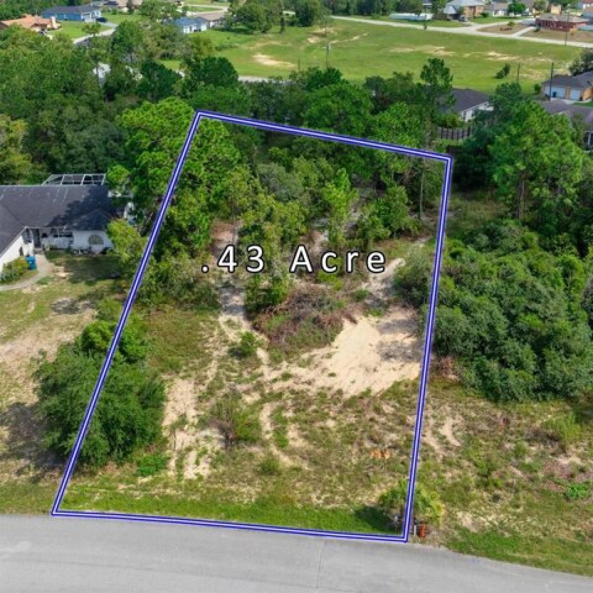 Picture of Residential Land For Sale in Spring Hill, Florida, United States