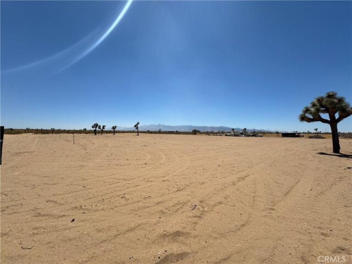 Picture of Residential Land For Sale in Phelan, California, United States