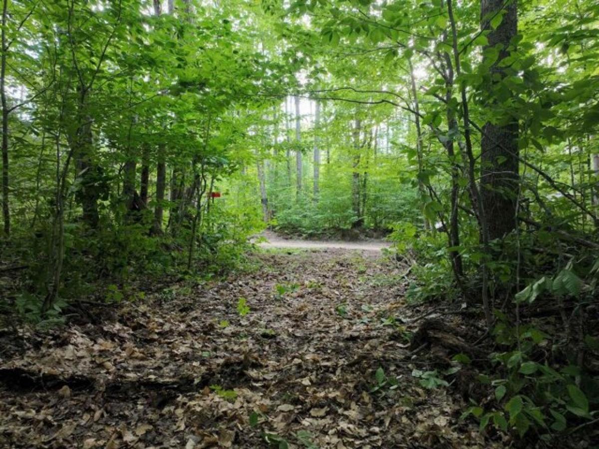 Picture of Residential Land For Sale in Newberry, Michigan, United States