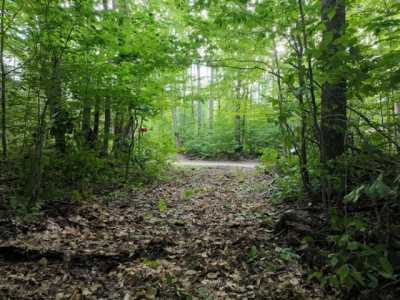 Residential Land For Sale in Newberry, Michigan