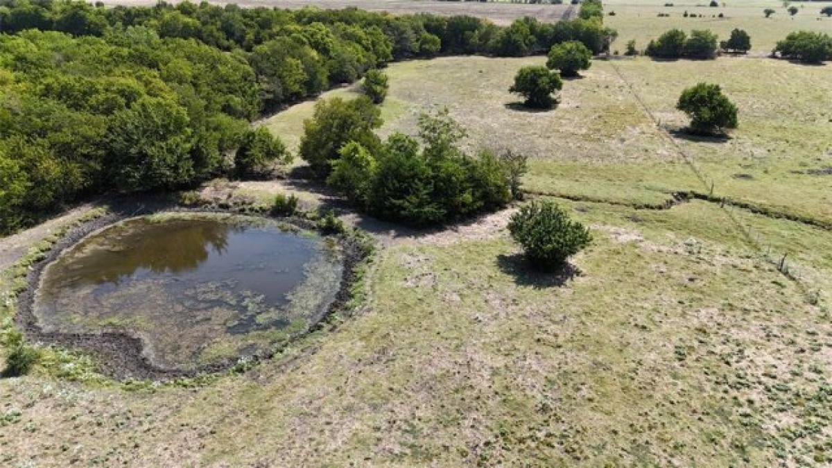 Picture of Residential Land For Sale in Wolfe City, Texas, United States