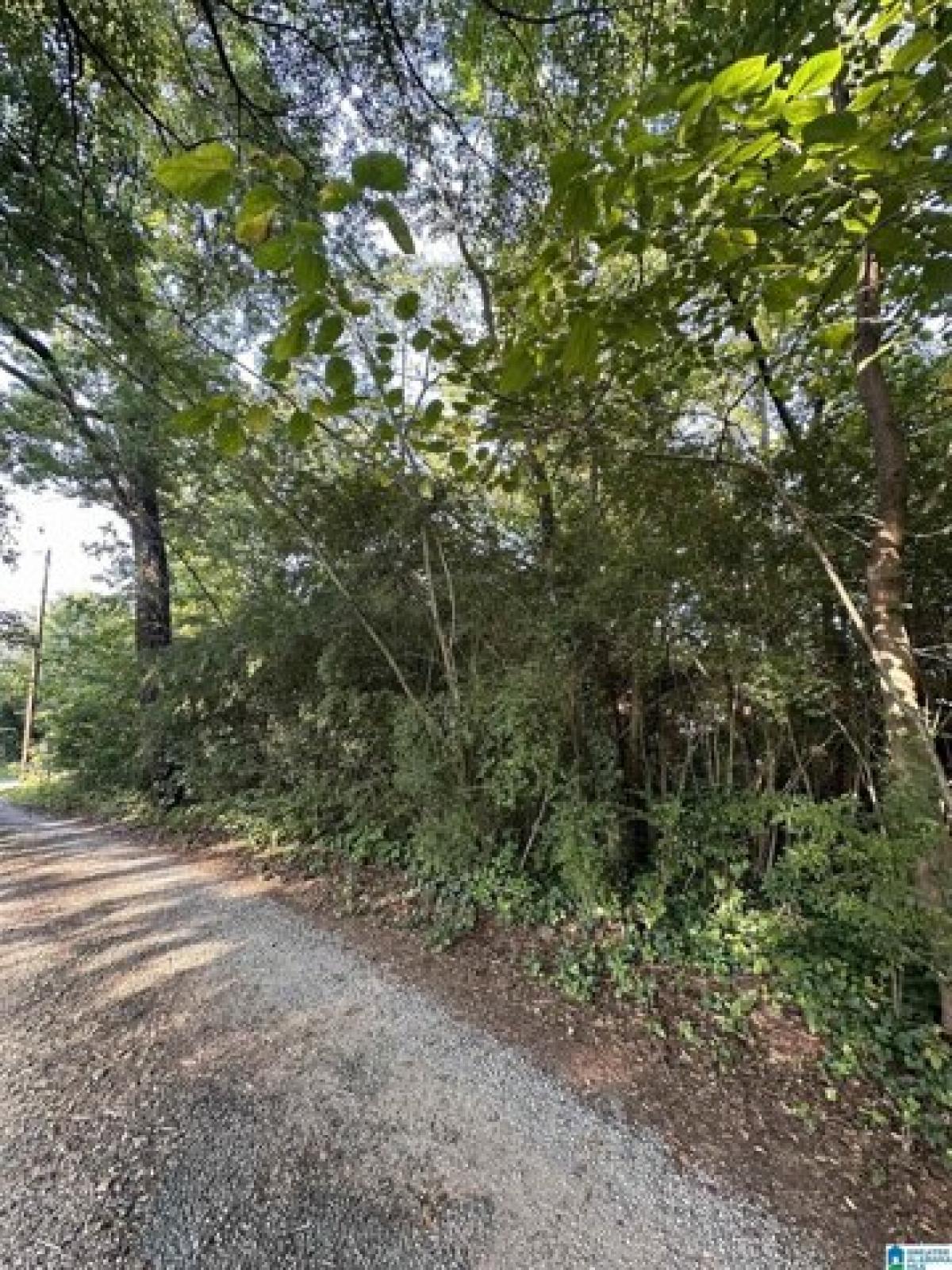 Picture of Residential Land For Sale in Pell City, Alabama, United States