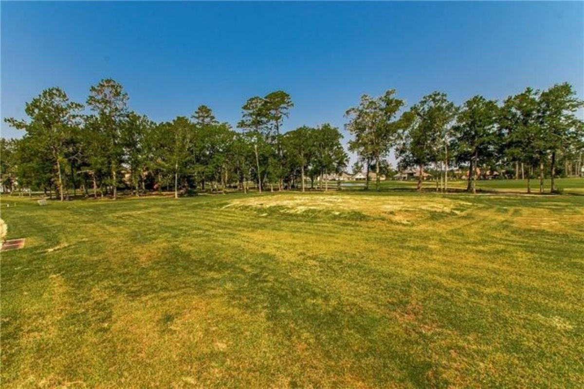 Picture of Residential Land For Sale in Springfield, Louisiana, United States