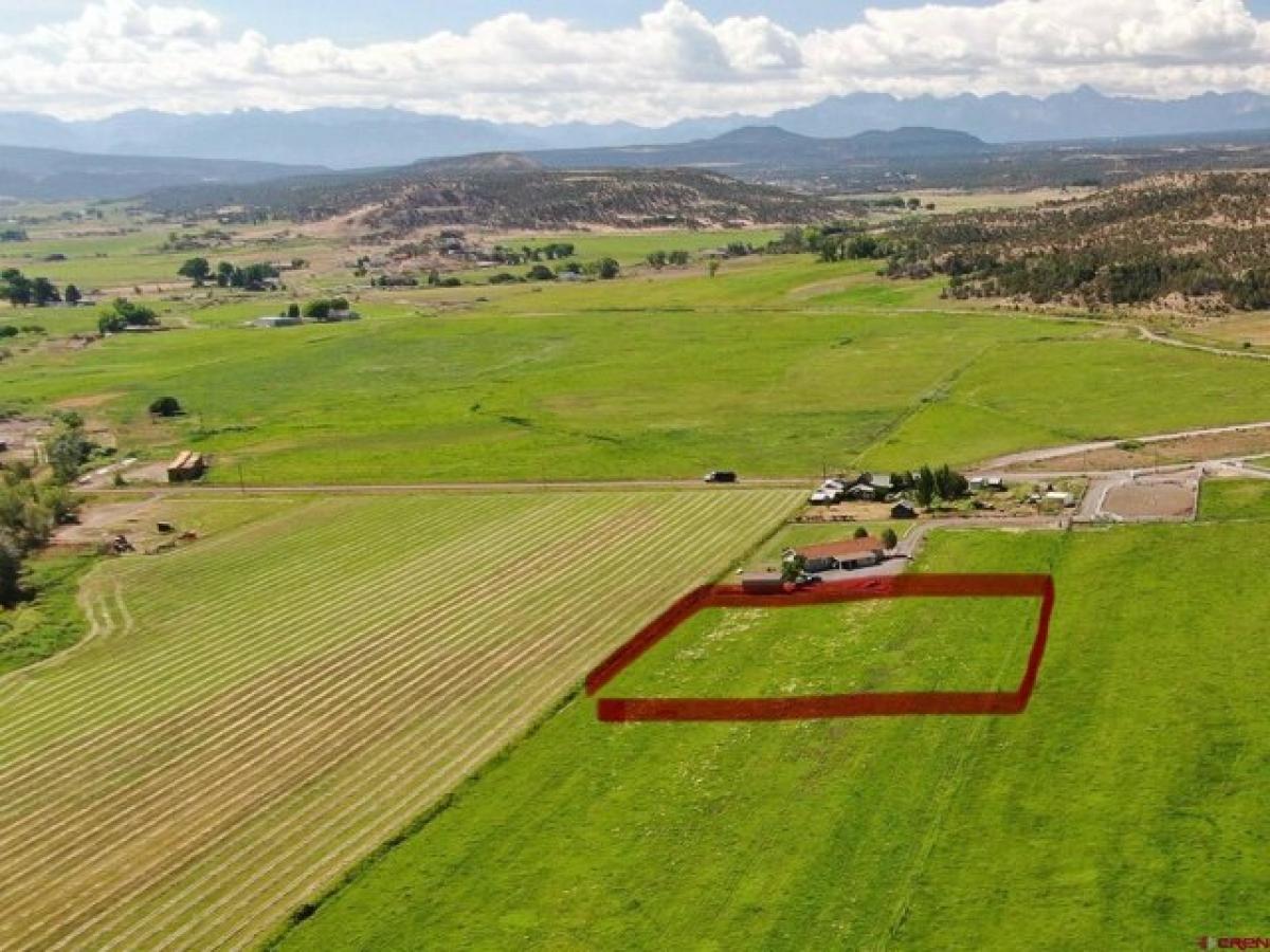 Picture of Residential Land For Sale in Montrose, Colorado, United States