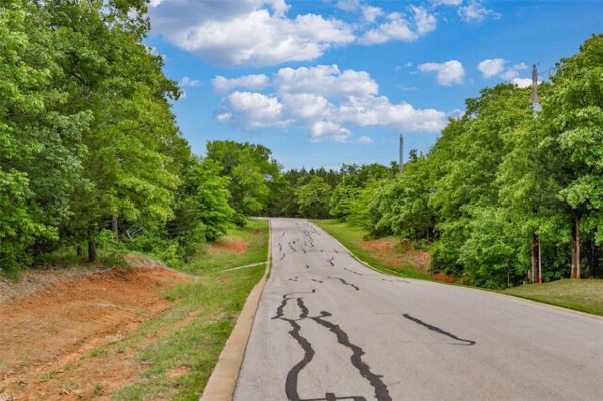 Picture of Residential Land For Sale in Gordonville, Texas, United States