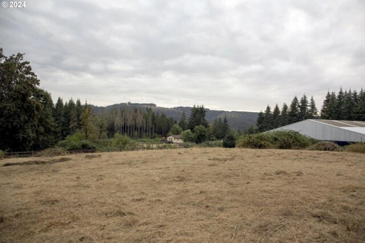 Picture of Home For Sale in Scotts Mills, Oregon, United States